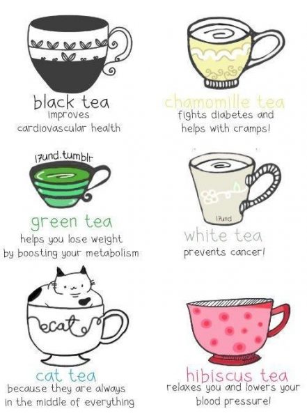 The one who is the health-conscious tea addict